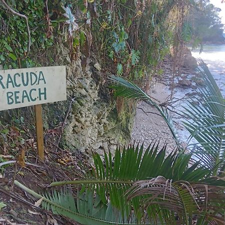 Barracuda Beach Hotel Port Antonio Exterior foto