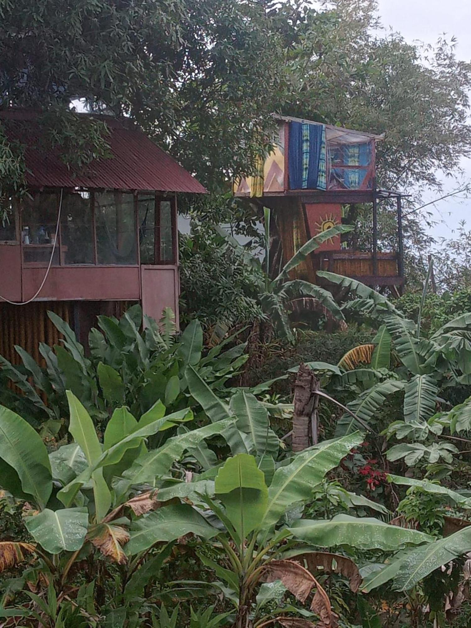 Barracuda Beach Hotel Port Antonio Exterior foto