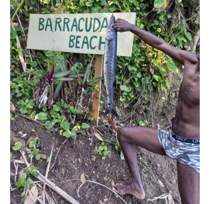 Barracuda Beach Hotel Port Antonio Exterior foto